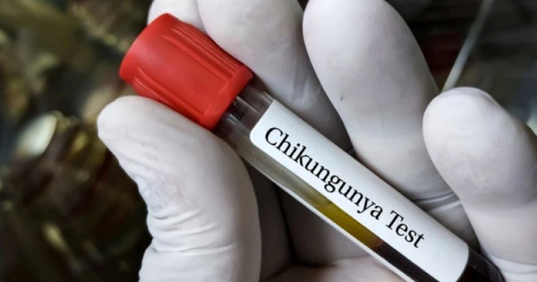 Bộ Y tế yêu cầu chủ động tăng cường phòng, chống bệnh Chikungunya
