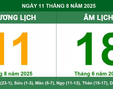 Lịch âm 11/8 chính xác nhất, lịch vạn niên ngày 11/8/2025: Việc nên và không nên làm?