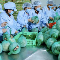 Xuất nhập khẩu duy trì đà tăng trưởng tích cực