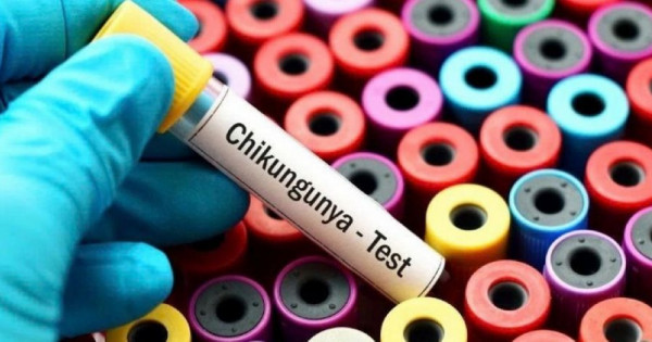 Phòng bệnh Chikungunya bằng cách nào?