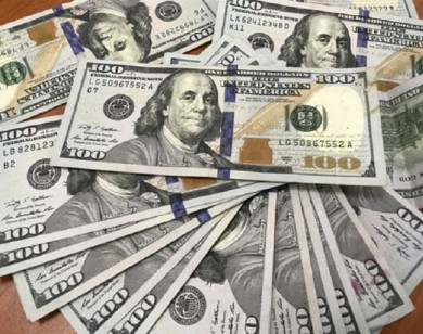 Giá ngoại tệ ngày 11/8/2025: USD sẽ phục hồi trong tuần mới?
