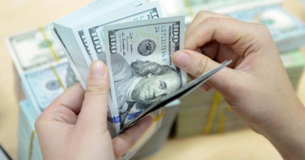 Giá ngoại tệ ngày 12/8/2025: USD tăng nhẹ