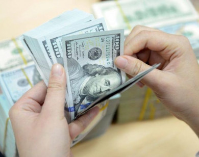 Giá ngoại tệ ngày 12/8/2025: USD tăng nhẹ