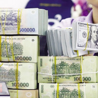 Giá ngoại tệ ngày 14/8/2025: USD tiếp tục suy yếu