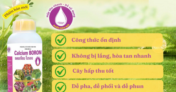 Nâng tầm hiệu quả canh tác với Sitto Calcium Boron phiên bản cải tiến