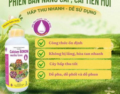 Nâng tầm hiệu quả canh tác với Sitto Calcium Boron phiên bản cải tiến