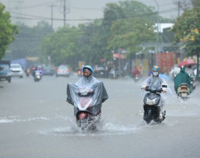 Thời tiết ngày 17/8/2025: Tây Nguyên và Nam Bộ cục bộ có mưa lớn