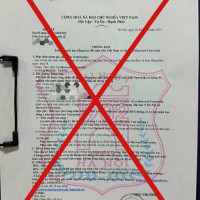 Trước thềm năm học mới, nhiều trường đại học bị mạo danh