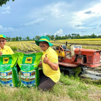 Đầu Trâu Bio-Canxi: Giải pháp phân bón mới cho canh tác lúa gạo bền vững và giảm phát thải