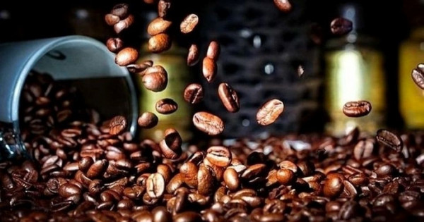 Giá nông sản ngày 21/8/2025: Cà phê bật tăng mạnh, hồ tiêu đi ngang
