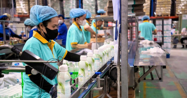 COMOON: "Tinh hoa Đất Mẹ" chinh phục thế giới bằng nước dừa lành mạnh