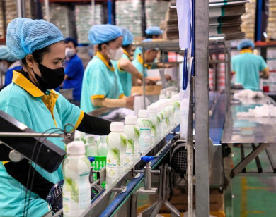 COMOON: "Tinh hoa Đất Mẹ" chinh phục thế giới bằng nước dừa lành mạnh