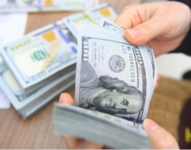 Giá ngoại tệ ngày 26/8/2025: USD phục hồi trở lại