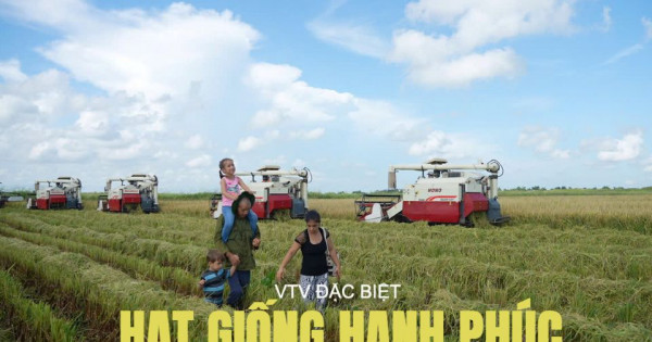 VTV đặc biệt “Hạt giống hạnh phúc” lần đầu tiên phát sóng song song tại Việt Nam và Cuba
