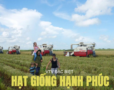 VTV đặc biệt “Hạt giống hạnh phúc” lần đầu tiên phát sóng song song tại Việt Nam và Cuba