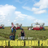 VTV đặc biệt “Hạt giống hạnh phúc” lần đầu tiên phát sóng song song tại Việt Nam và Cuba
