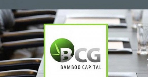 Cổ phiếu “họ” Bamboo Capital bùng nổ, dòng tiền đổ về mạnh mẽ