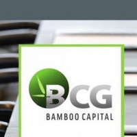 Cổ phiếu “họ” Bamboo Capital bùng nổ, dòng tiền đổ về mạnh mẽ