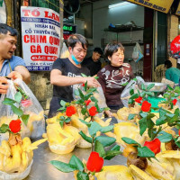 Thị trường thực phẩm Rằm tháng Bảy: Thực phẩm ổn định trong khi rau xanh tăng giá - Vàng mã ế ẩm