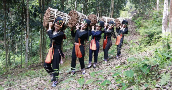 Việt Nam bán 1 loại gia vị thu về 210 triệu USD từ đầu năm