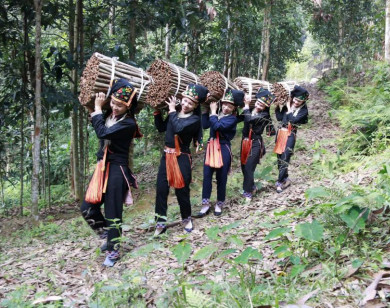Việt Nam bán 1 loại gia vị thu về 210 triệu USD từ đầu năm