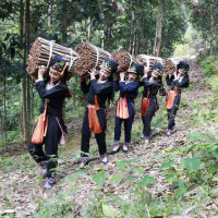 Việt Nam bán 1 loại gia vị thu về 210 triệu USD từ đầu năm