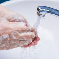 Dịch tả bùng phát ở nhiều nước: Người dân cần làm gì để chủ động phòng, chống?