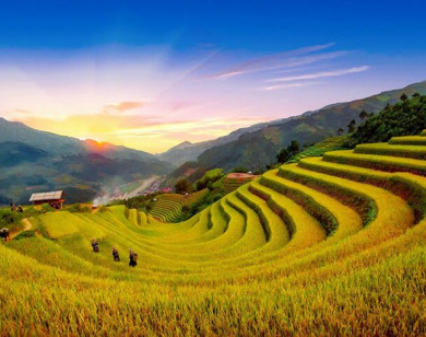 Sa Pa nằm trong top 8 điểm đến vùng núi và thị trấn nhỏ hàng đầu châu Á