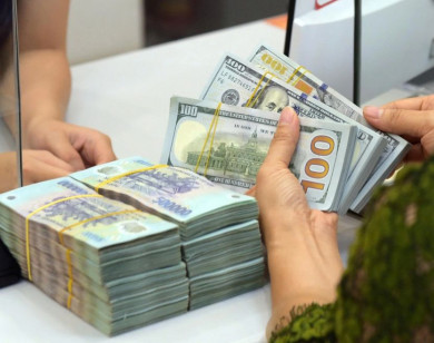 Giá ngoại tệ ngày 11/9/2025: USD tiếp tục tăng