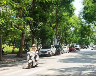 Thời tiết ngày 12/9/2025: Bắc Bộ ngày nắng, Nam Bộ có mưa lớn