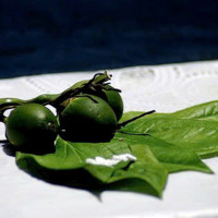 Trầu cau: "Bảo bối"cổ xưa nâng tầm sức khoẻ răng miệng Việt