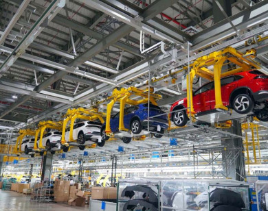 Thị trường ô tô Việt Nam tháng 8/2025: Giảm tốc sau giai đoạn tăng trưởng