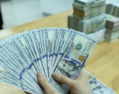 Giá ngoại tệ ngày 13/9/2025: USD tăng nhẹ