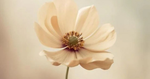 Tử vi ngày 16/9/2025 của 12 cung hoàng đạo: Ma Kết tình duyên gặp nhiều trắc trở