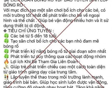 Mạo danh Liên đoàn bóng rổ Việt Nam để chiếm đoạt tài sản