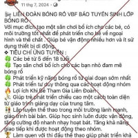 Mạo danh Liên đoàn bóng rổ Việt Nam để chiếm đoạt tài sản