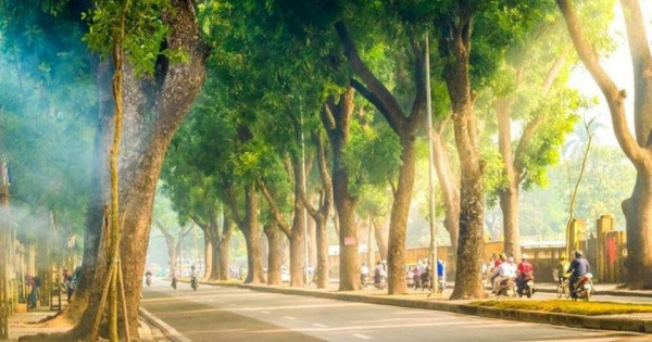 Thời tiết ngày 20/9/2025: Bắc Bộ nắng ráo, Nam Bộ mưa dông
