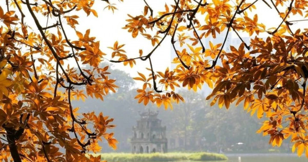 Hà Nội là một trong những điểm đến ngắm lá mùa thu đẹp nhất châu lục