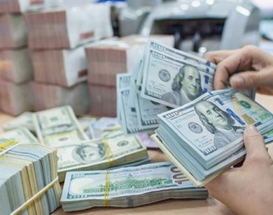 Giá ngoại tệ ngày 21/9/2025: USD ổn định