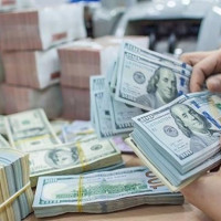 Giá ngoại tệ ngày 21/9/2025: USD ổn định