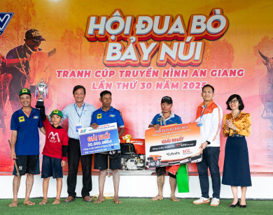 Bình Điền – Tự hào đồng hành cùng di sản văn hóa Đua bò Bảy Núi