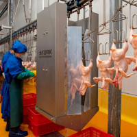 Đưa giết mổ gia súc, gia cầm đi vào nền nếp