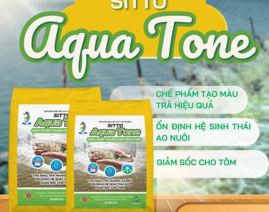 Màu nước chuẩn – giải pháp bền vững cho ao tôm khỏe