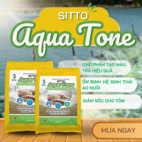 Màu nước chuẩn – giải pháp bền vững cho ao tôm khỏe