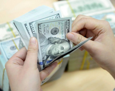 Giá ngoại tệ ngày 25/9/2025: USD bật tăng trở lại