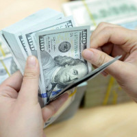 Giá ngoại tệ ngày 25/9/2025: USD bật tăng trở lại