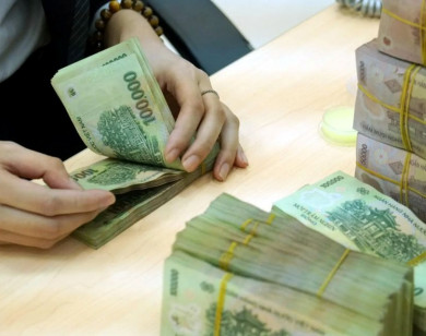 TP Hồ Chí Minh: Tổ chức kiểm tra công tác thu, chi đầu năm học ở nhiều trường