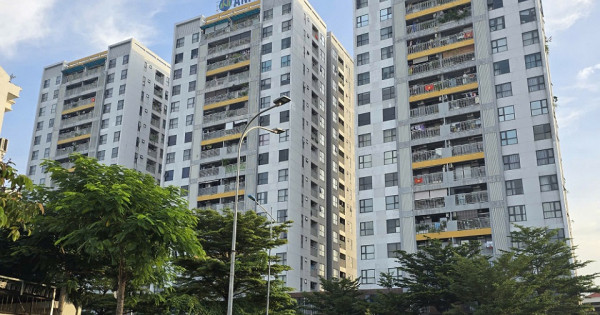 Mòn mỏi chờ sổ hồng, cư dân chung cư Osimi Tower cầu cứu Tổ công tác 5013