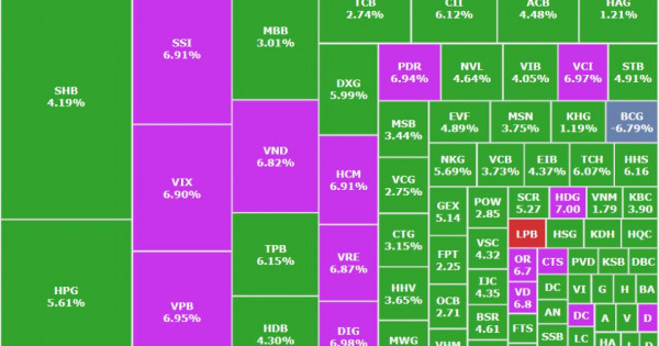 VN-Index “dựng đứng” 50 điểm, cổ phiếu chứng khoán tím trần trước giờ G nâng hạng