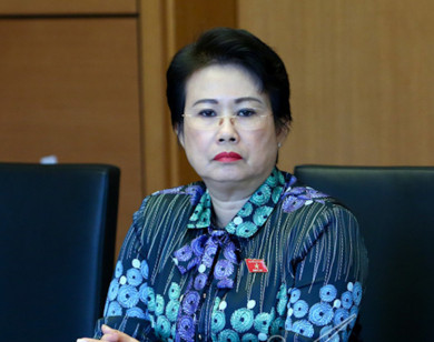 Khởi tố, bắt tạm giam nguyên Phó Bí thư Tỉnh ủy Đồng Nai Phan Thị Mỹ Thanh